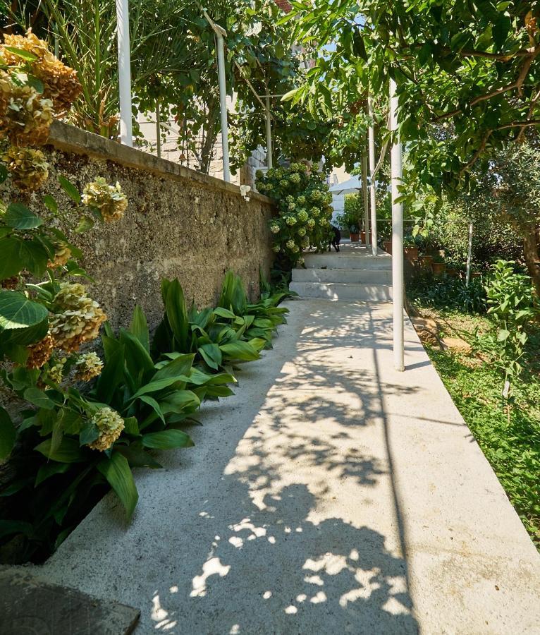 Aspidistra Shadow Appartamento Ragusa